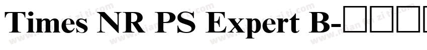 Times NR PS Expert B字体转换
